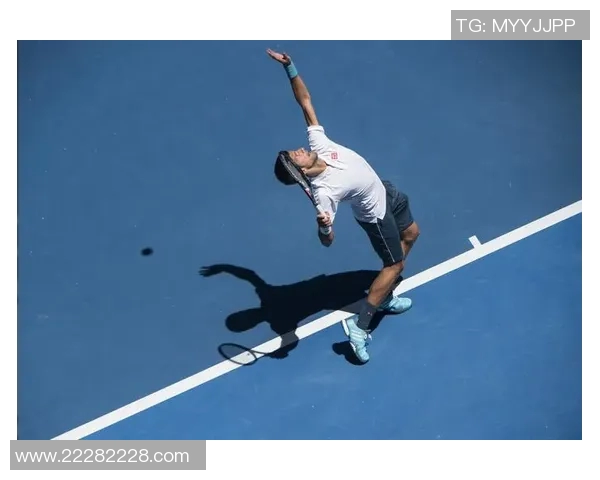 澳网遗憾止步四强汉达诺维奇将专心备战温网 澳网遗憾止步四强汉达诺维奇将专心备战温网