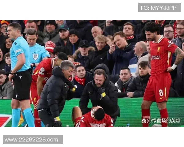 利物浦主力中场因伤将缺席下月关键比赛，球队前景堪忧