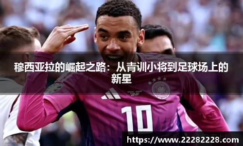 米兰体育官方网址